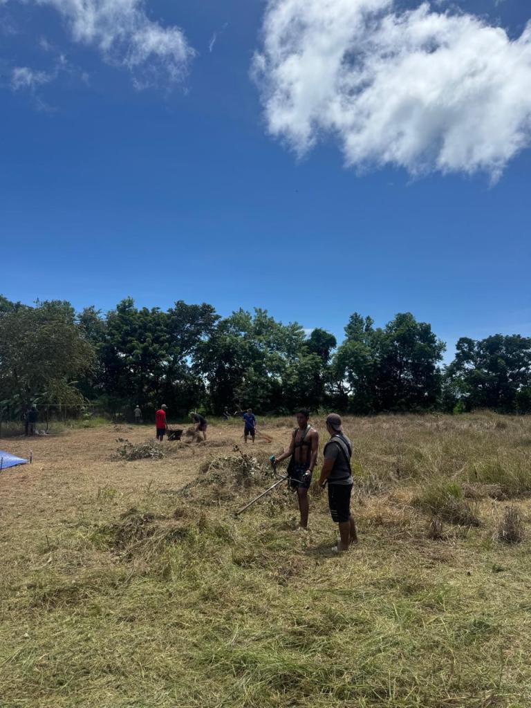 Voluntarios limpiando el terreno de la villa Hicaco 1-1